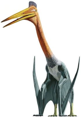  Quetzalcoatlus!  Ein fliegender Gigant aus der Zeit der Dinosaurier